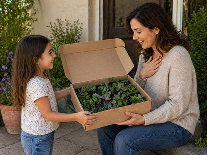Respectree™ Succulent Gift Box