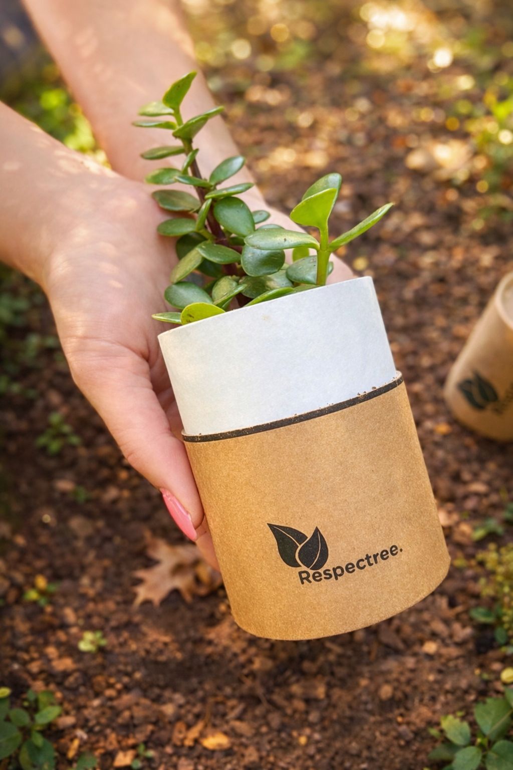 Tree in a Tube™ — The Gift They’ll Never Forget